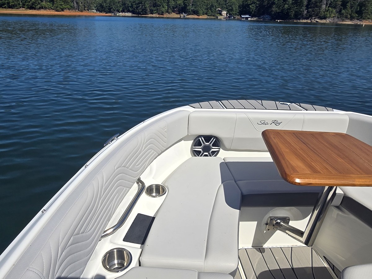 SEA RAY SDX 250 SURF, photo 36