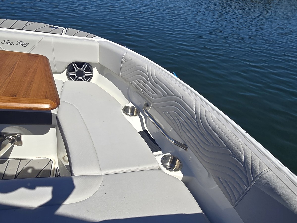 SEA RAY SDX 250 SURF, photo 38