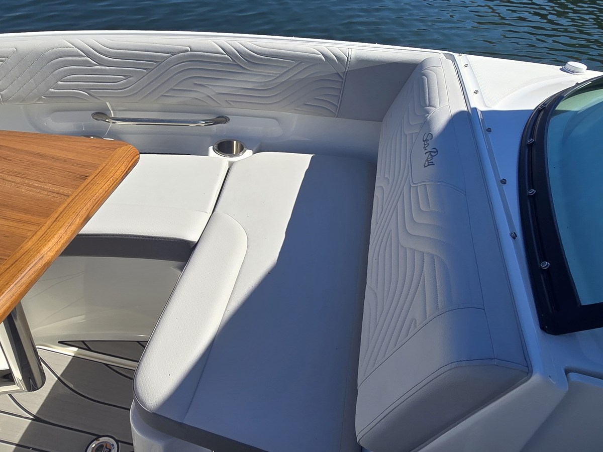 SEA RAY SDX 250 SURF, photo 39