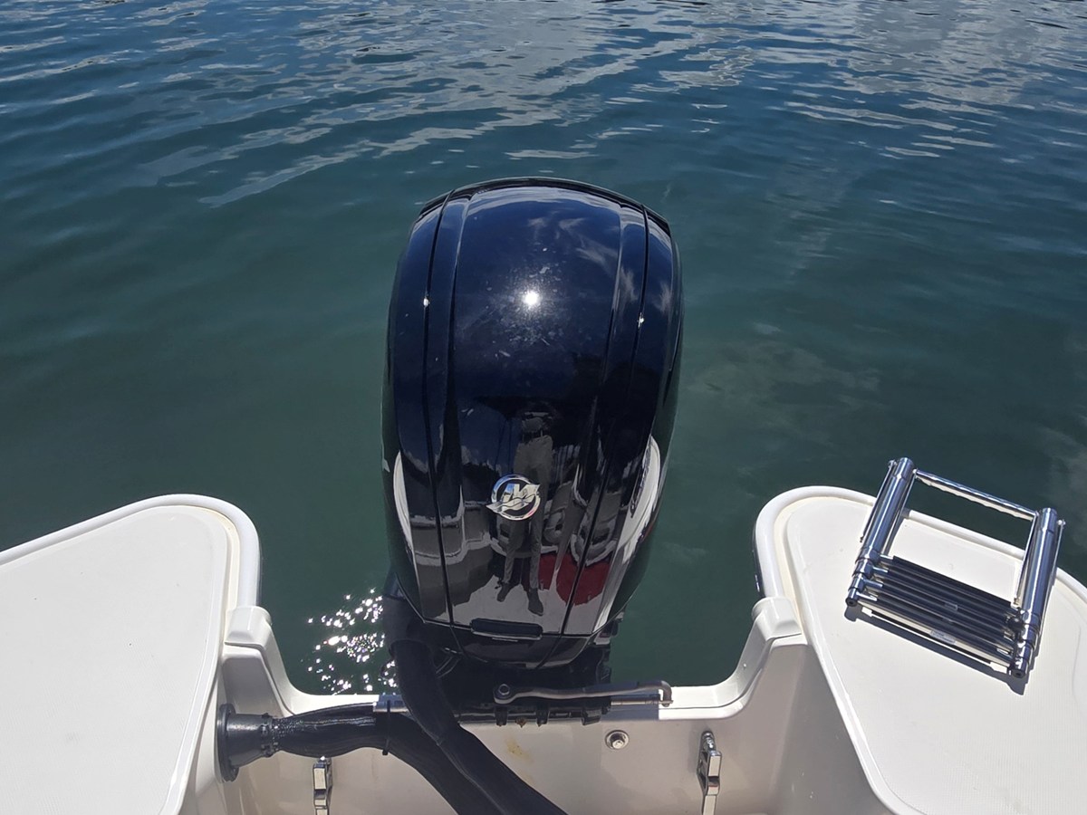 BOSTON WHALER 160 SUPER SPORT, photo 7