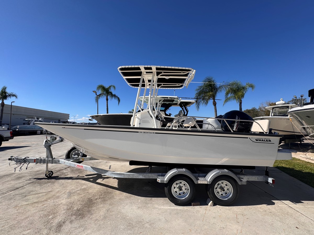 BOSTON WHALER 190 MONTAUK, photo 2