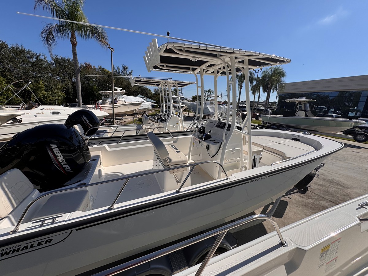 BOSTON WHALER 190 MONTAUK, photo 3