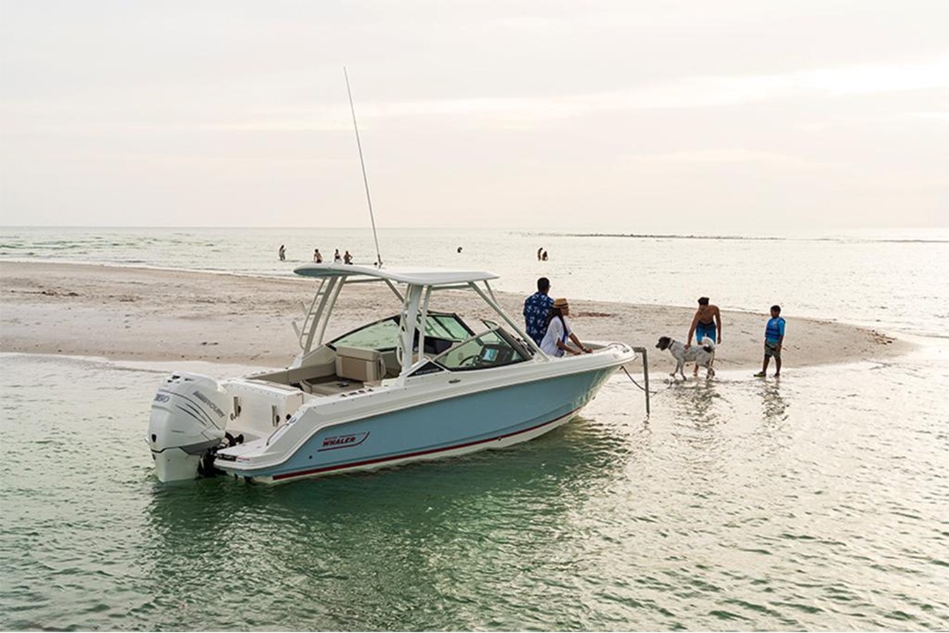 BOSTON WHALER 240 VANTAGE, photo 3