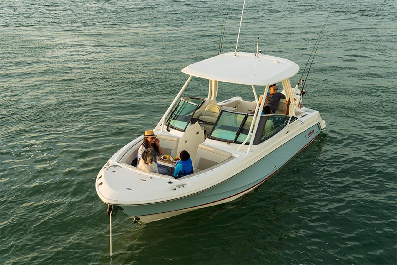 BOSTON WHALER 240 VANTAGE, photo 10