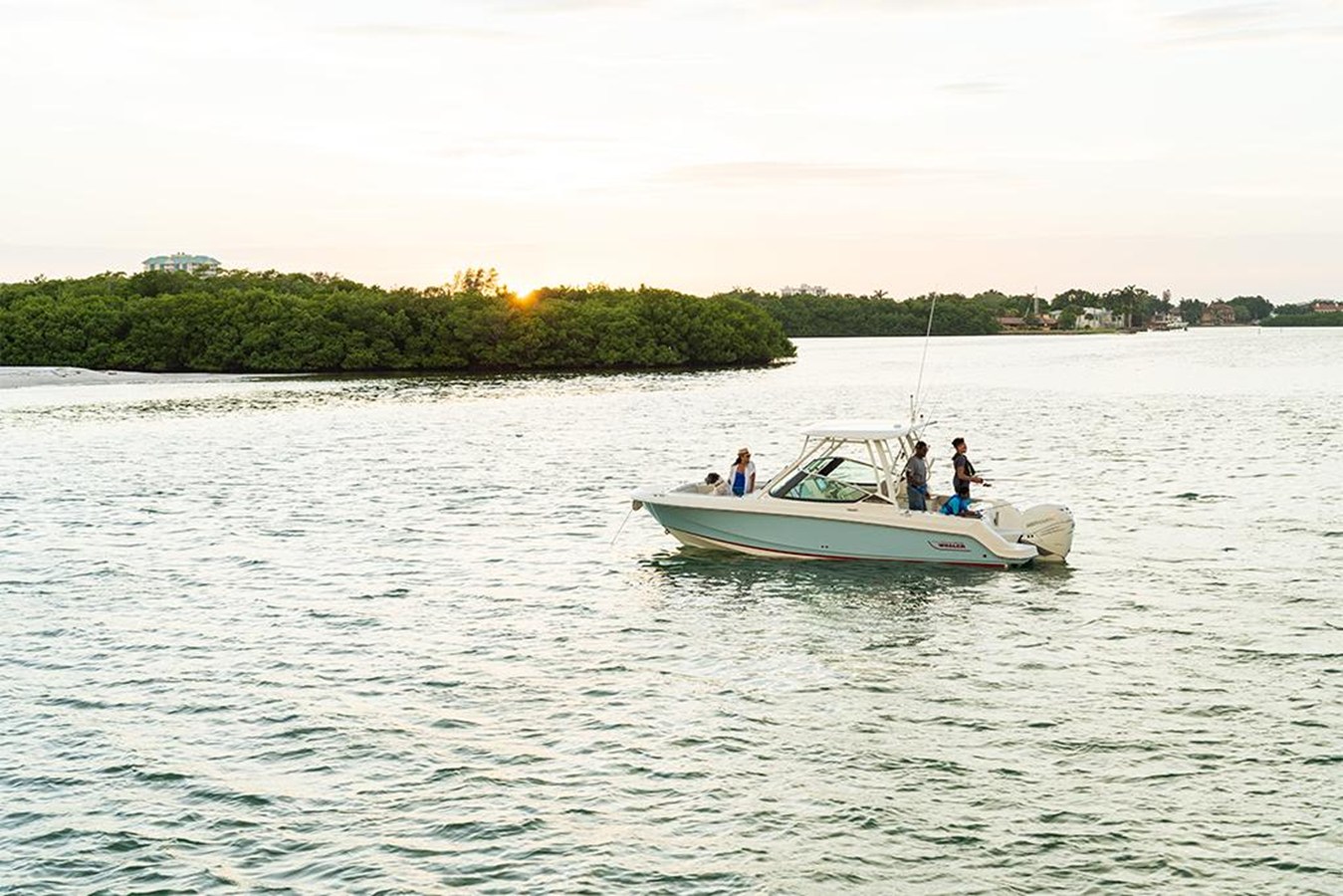 BOSTON WHALER 240 VANTAGE, photo 33