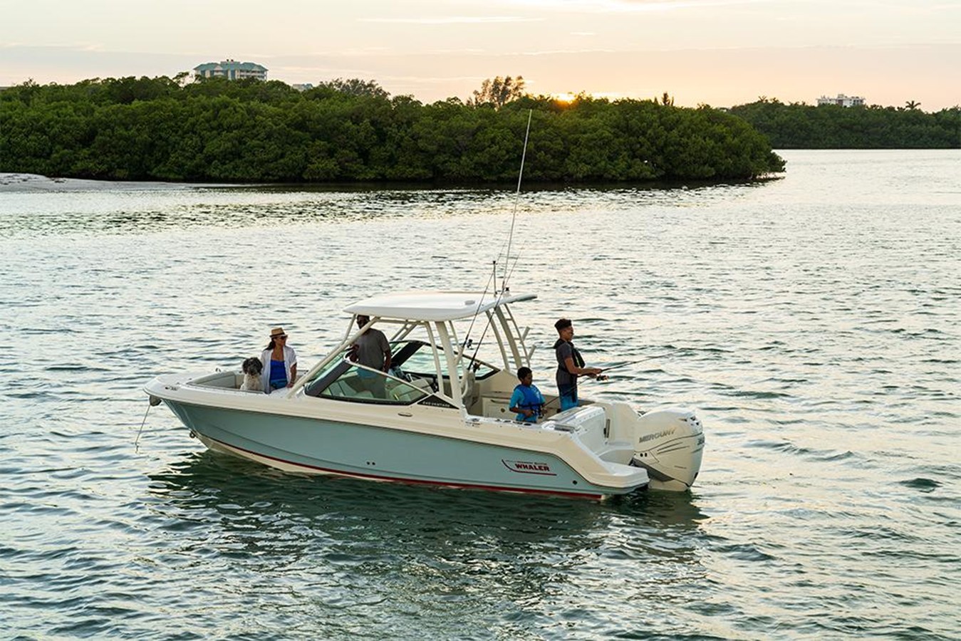 BOSTON WHALER 240 VANTAGE, photo 35