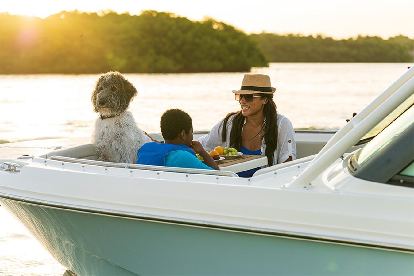 BOSTON WHALER 240 VANTAGE, photo 64