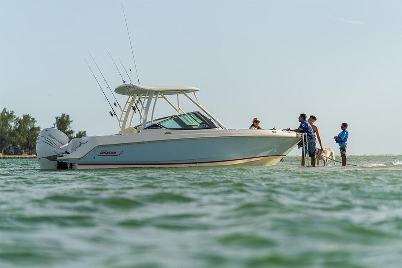 BOSTON WHALER 240 VANTAGE, photo 65