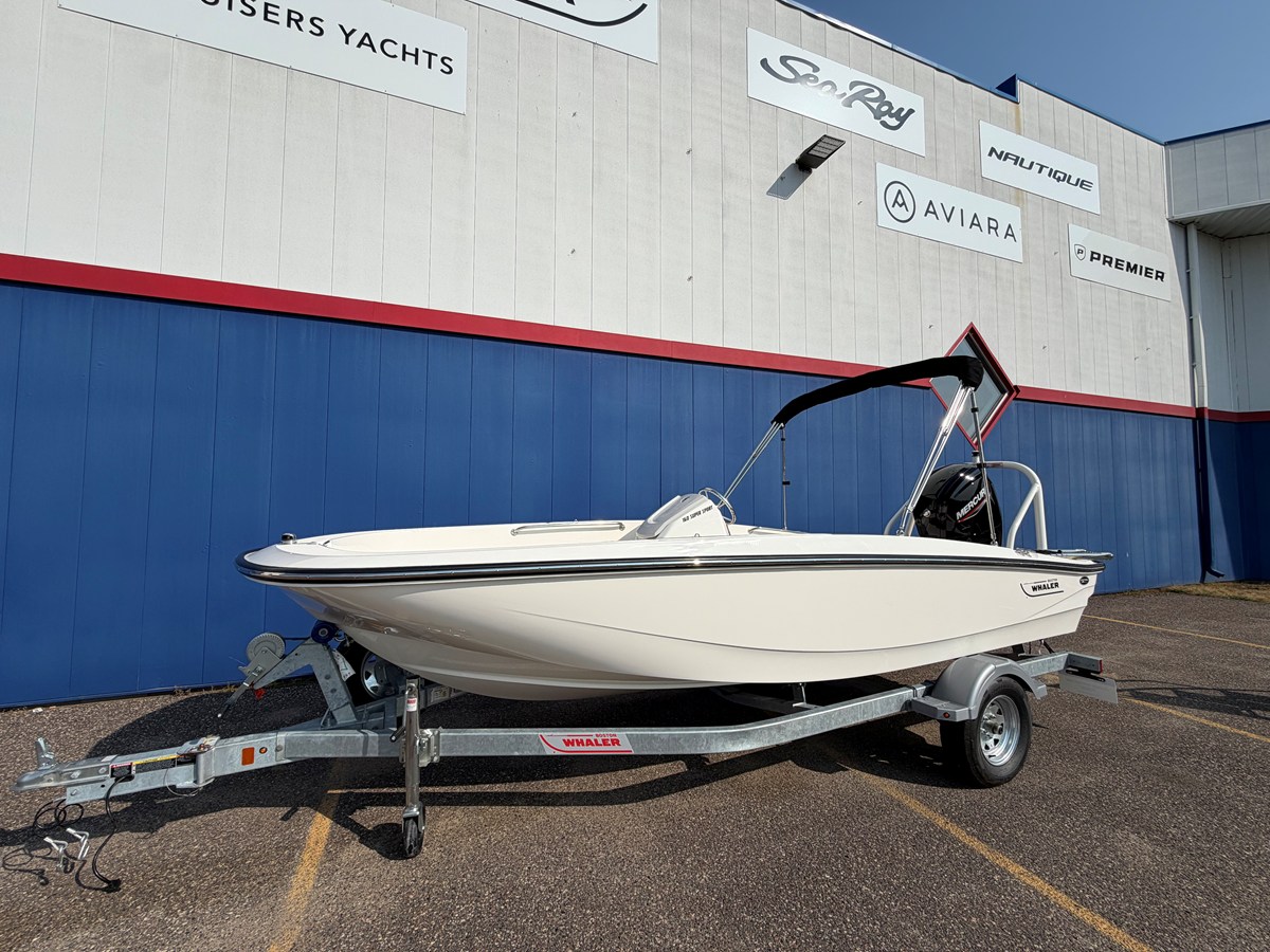 BOSTON WHALER 160 SUPER SPORT, photo 4