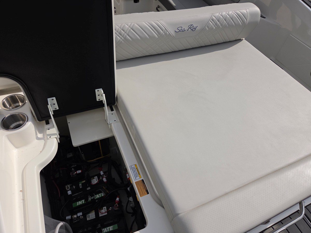 SEA RAY SDX 250, photo 11