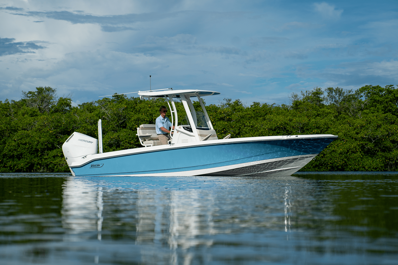 Boston Whaler BOSTON WHALER 250 DAUNTLESS