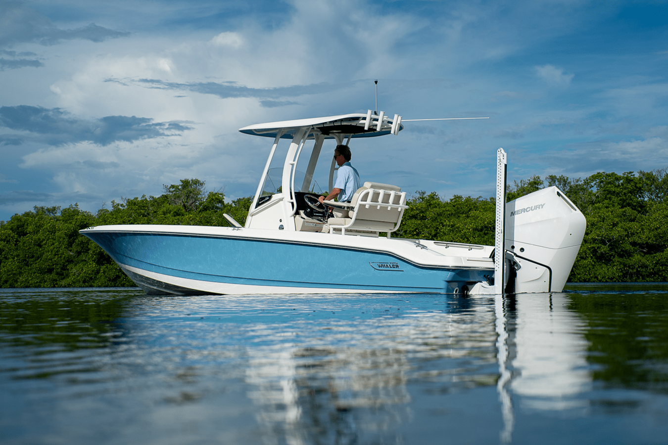BOSTON WHALER 250 DAUNTLESS, photo 2