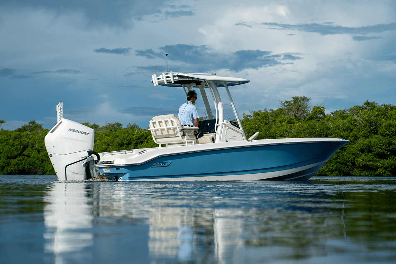 BOSTON WHALER 250 DAUNTLESS, photo 3