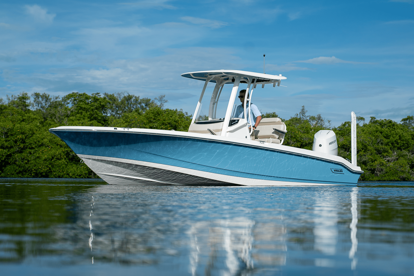 BOSTON WHALER 250 DAUNTLESS, photo 4
