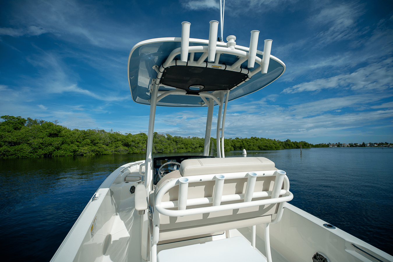 BOSTON WHALER 250 DAUNTLESS, photo 6