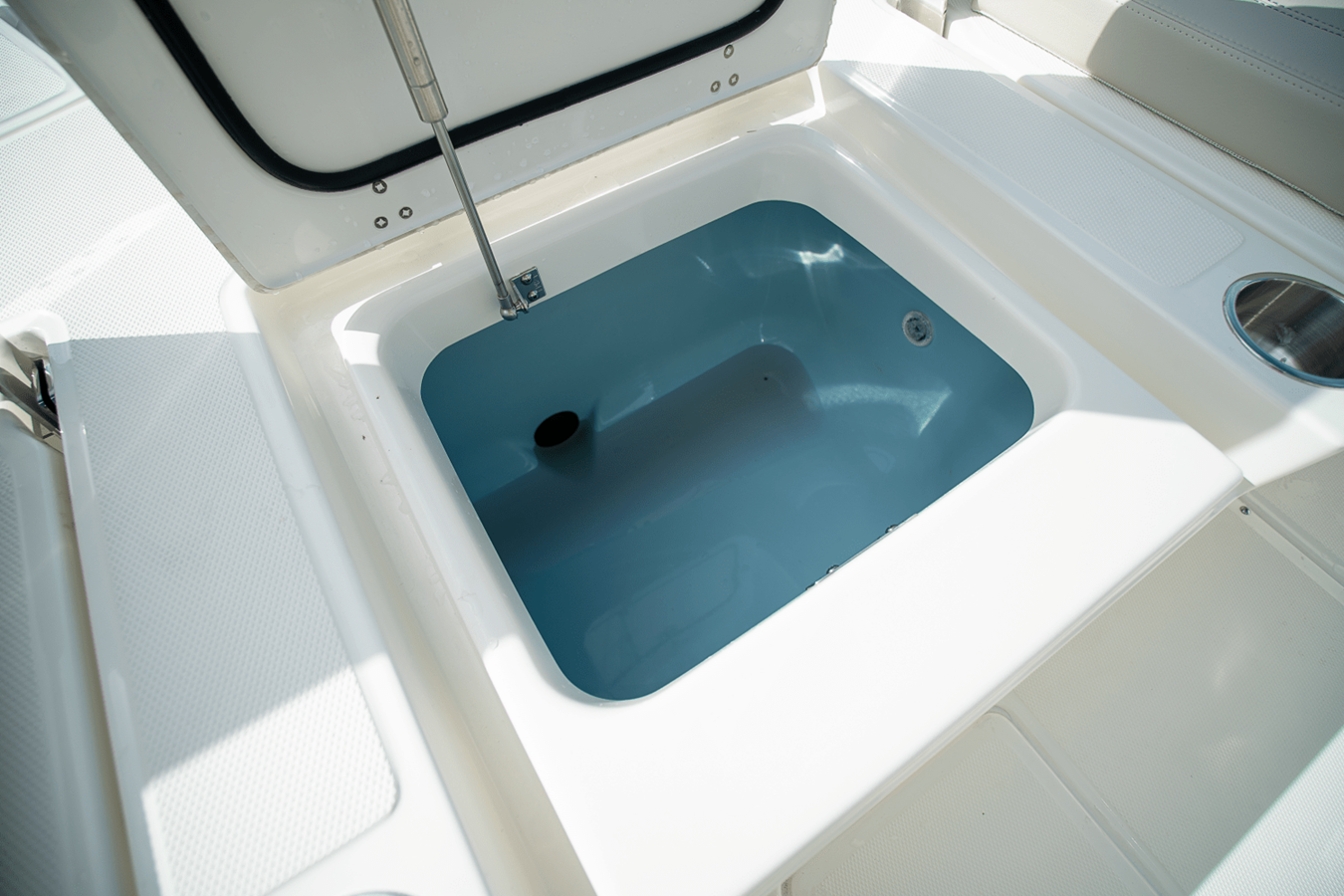 BOSTON WHALER 250 DAUNTLESS, photo 9