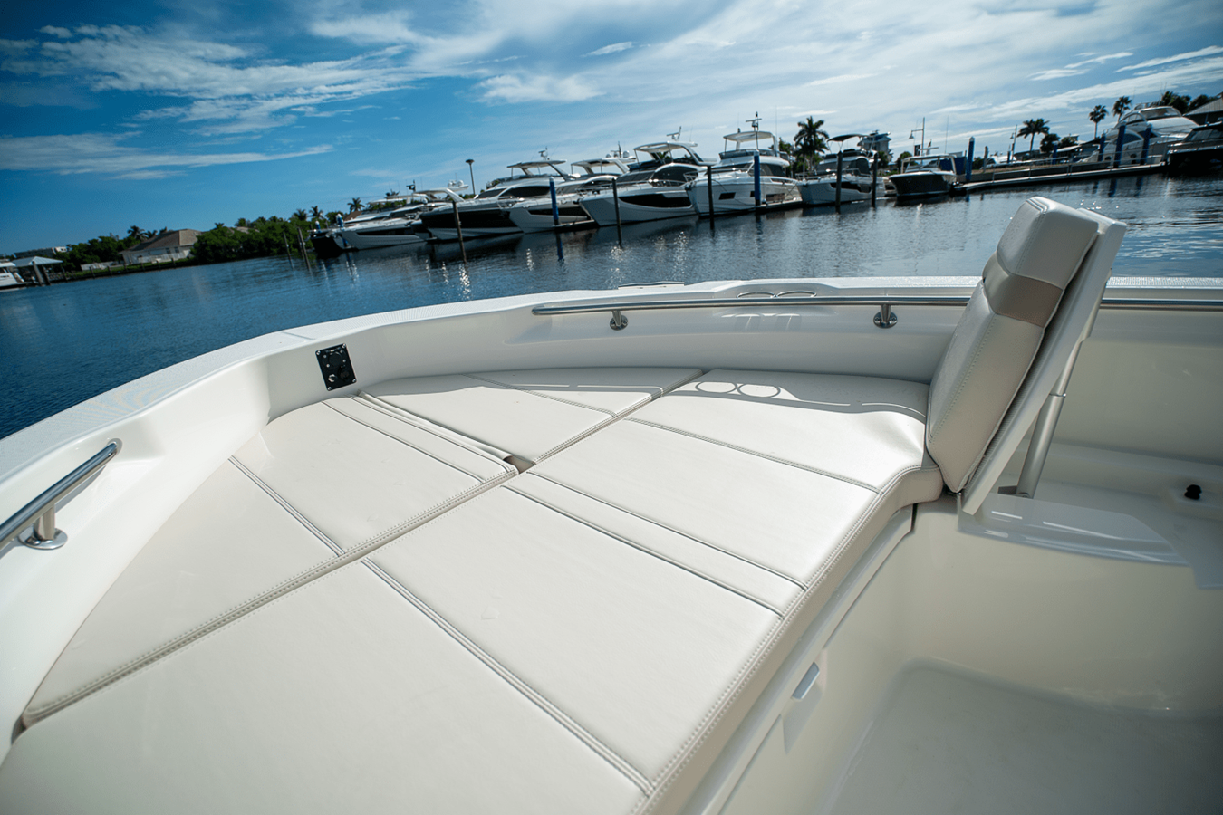BOSTON WHALER 250 DAUNTLESS, photo 17