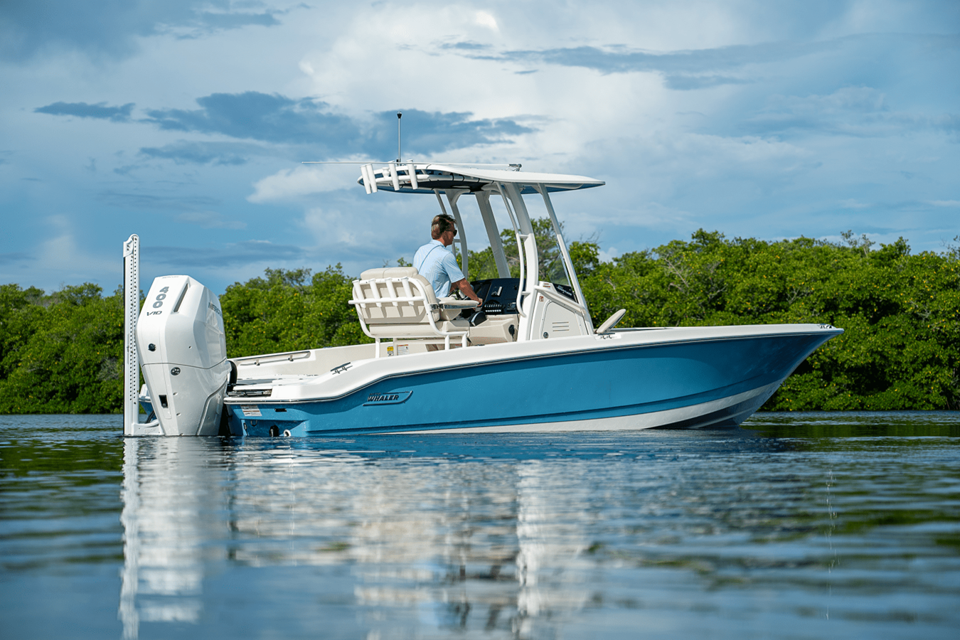 BOSTON WHALER 250 DAUNTLESS, photo 20