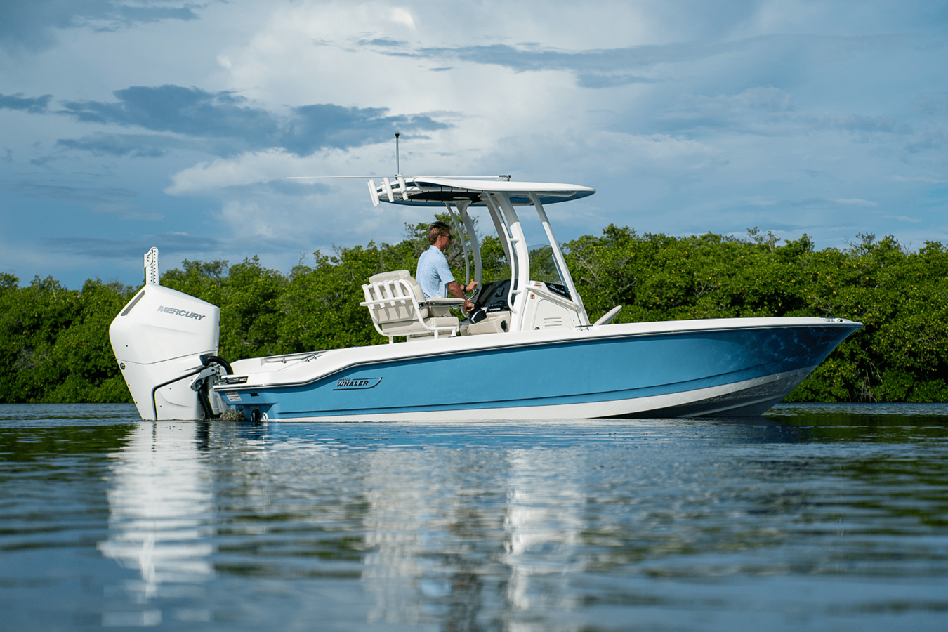 BOSTON WHALER 250 DAUNTLESS, photo 21