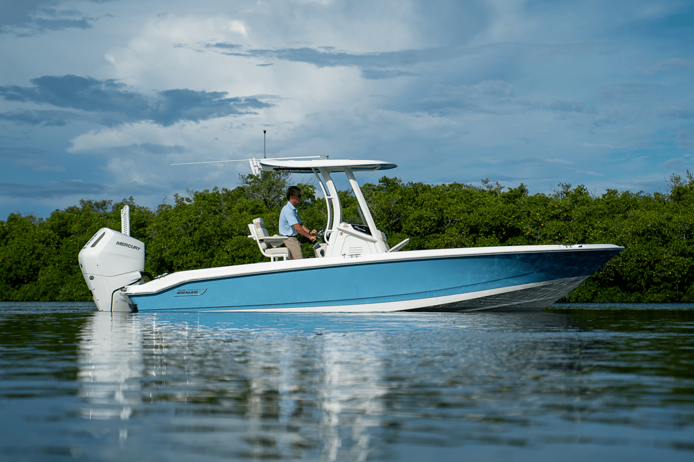 BOSTON WHALER 250 DAUNTLESS, photo 22