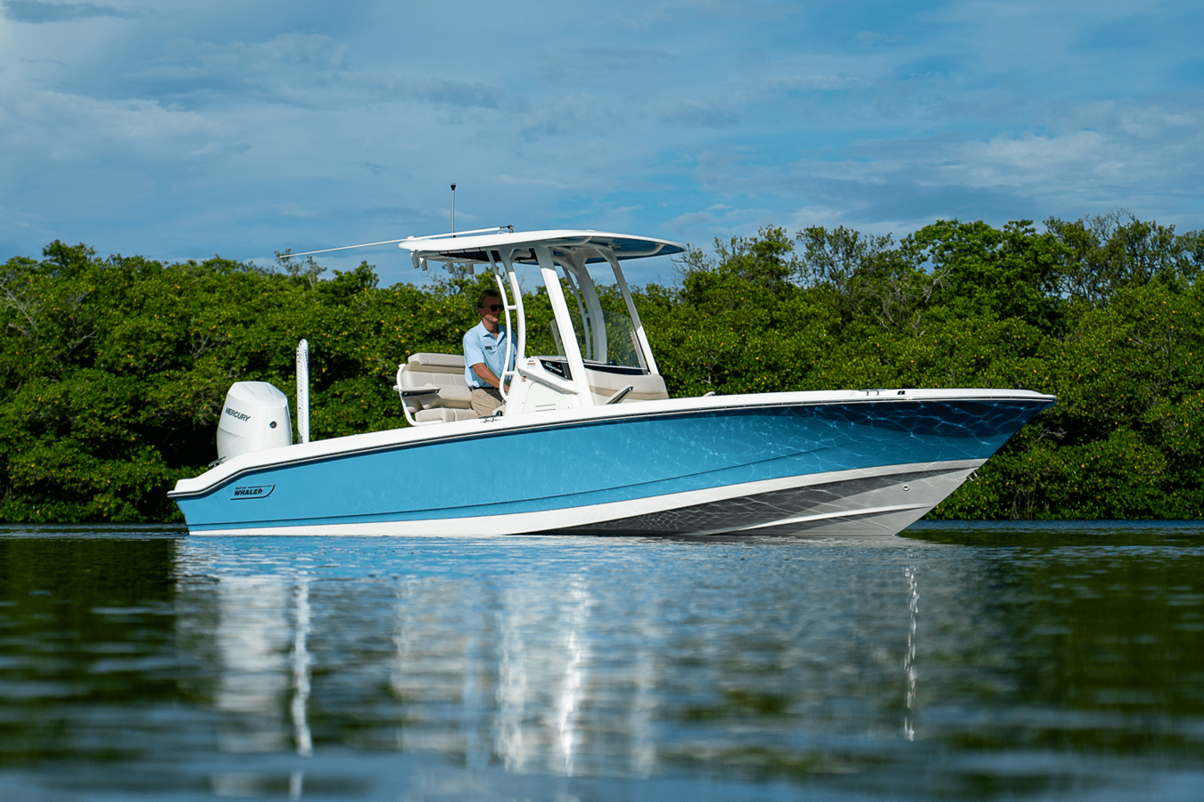 BOSTON WHALER 250 DAUNTLESS, photo 23