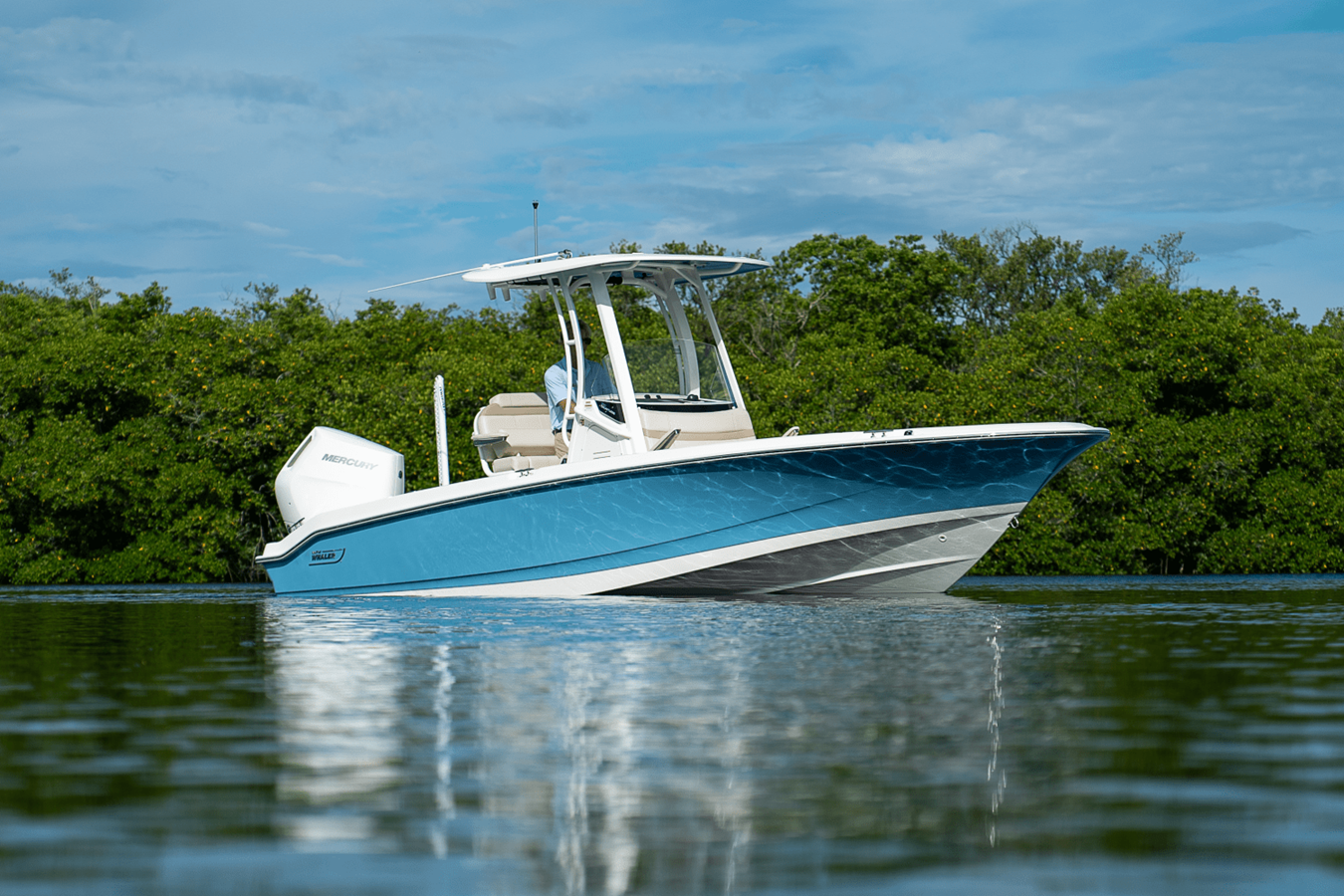 BOSTON WHALER 250 DAUNTLESS, photo 24