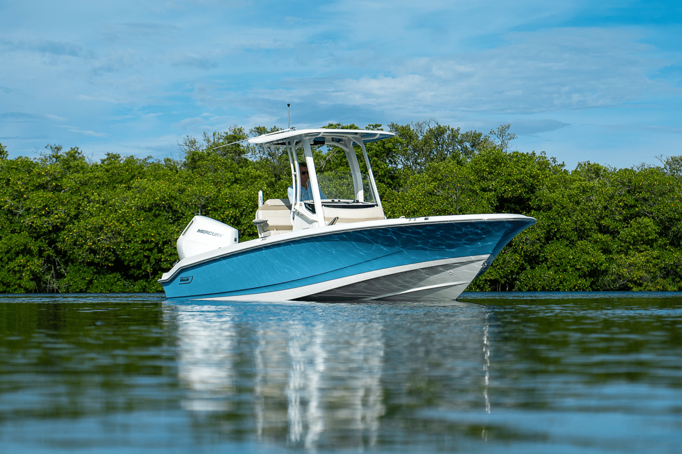 BOSTON WHALER 250 DAUNTLESS, photo 25
