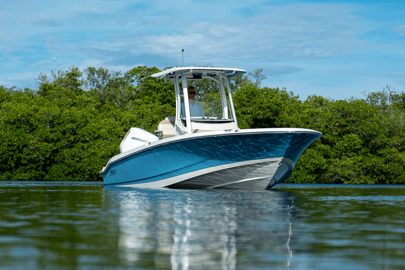 BOSTON WHALER 250 DAUNTLESS, photo 26