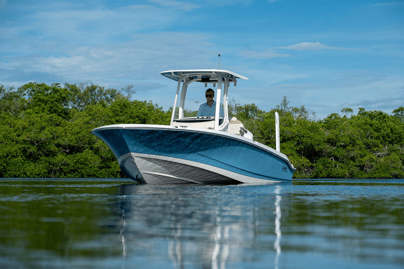 BOSTON WHALER 250 DAUNTLESS, photo 27