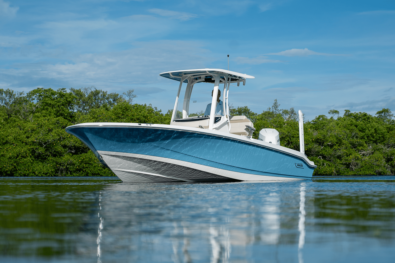 BOSTON WHALER 250 DAUNTLESS, photo 28