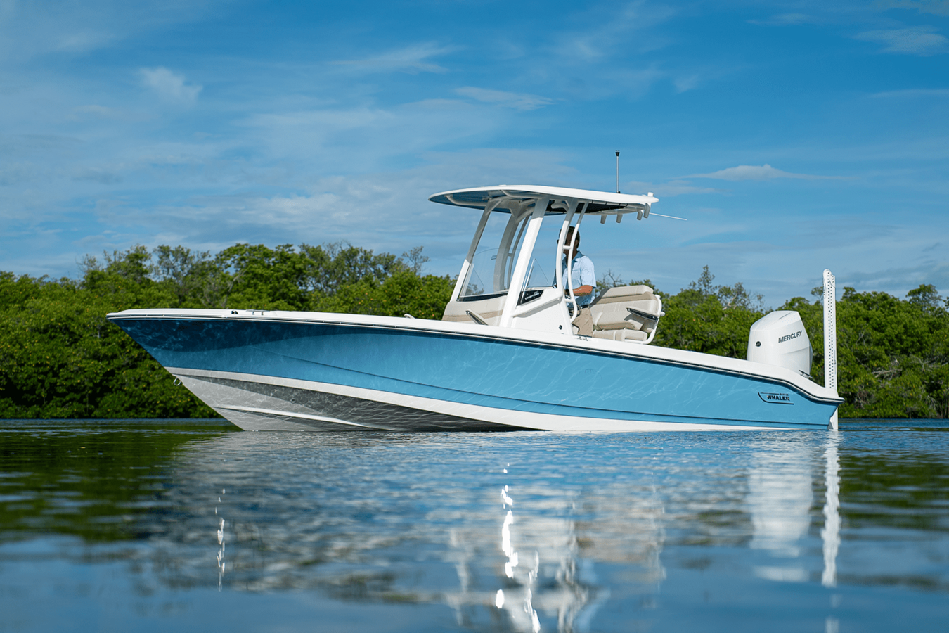 BOSTON WHALER 250 DAUNTLESS, photo 29