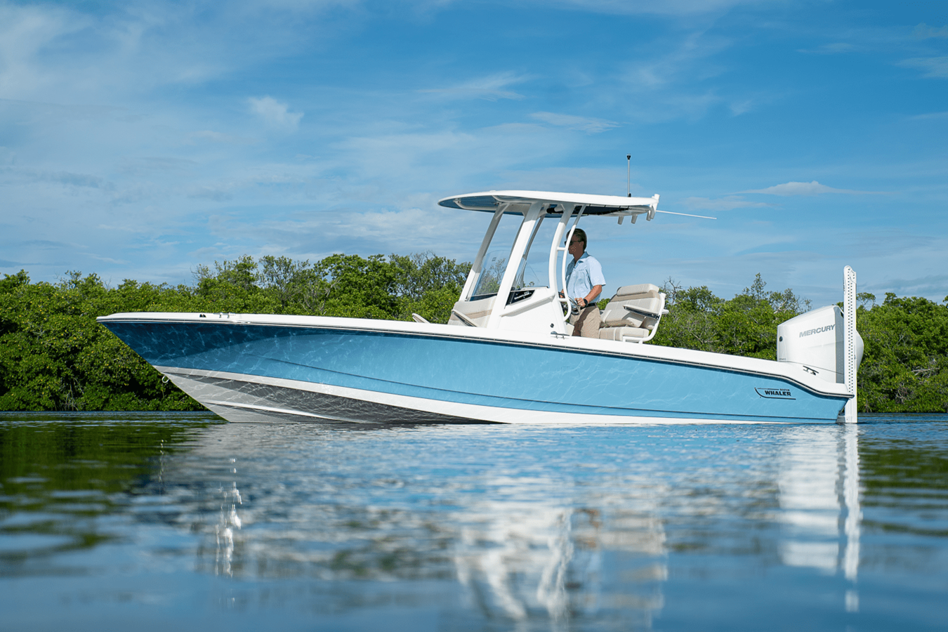 BOSTON WHALER 250 DAUNTLESS, photo 30
