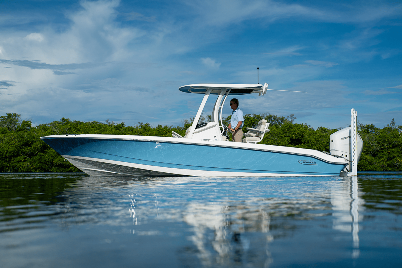 BOSTON WHALER 250 DAUNTLESS, photo 31