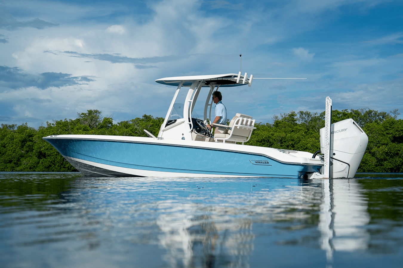 BOSTON WHALER 250 DAUNTLESS, photo 32