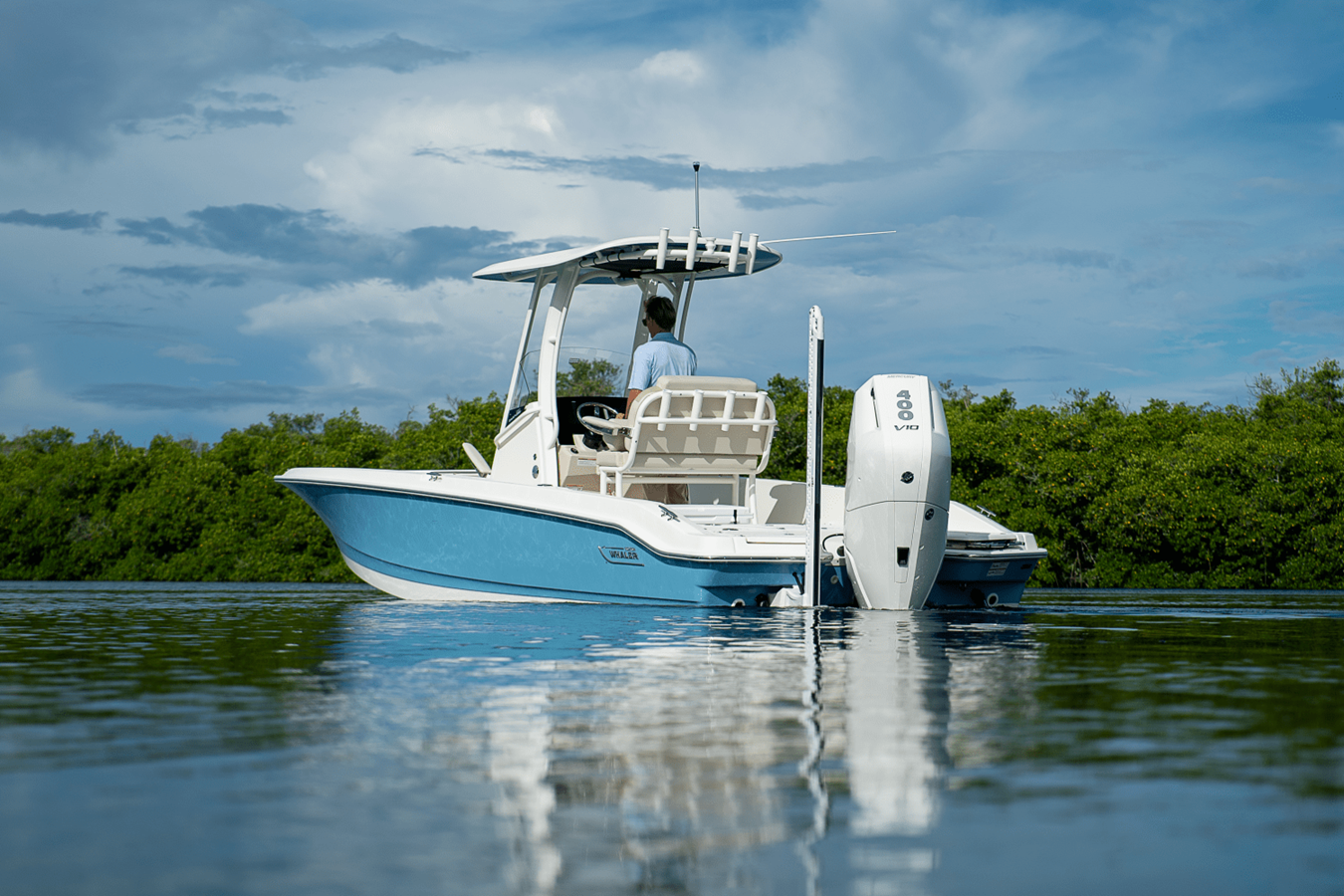 BOSTON WHALER 250 DAUNTLESS, photo 33