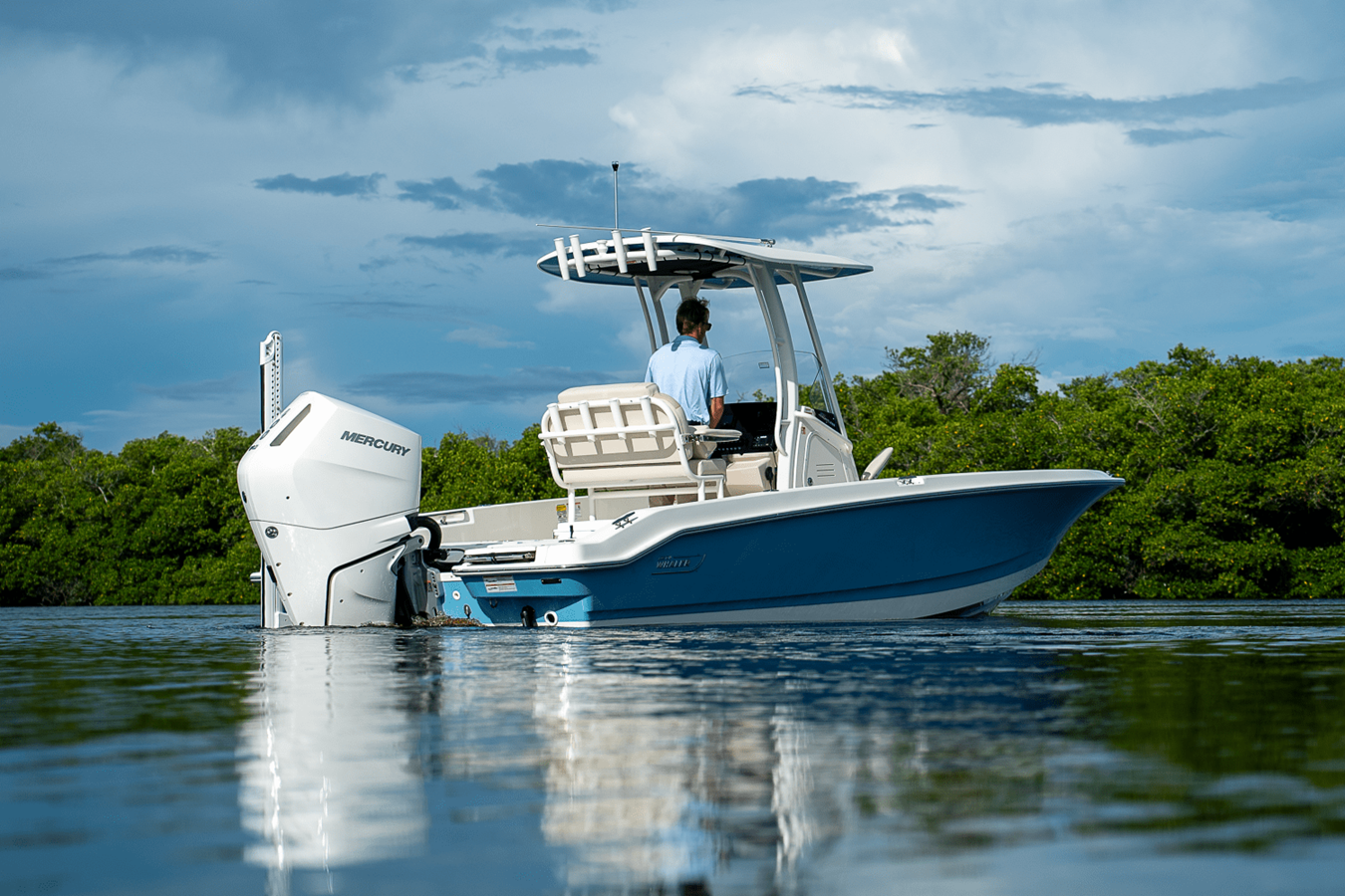 BOSTON WHALER 250 DAUNTLESS, photo 37