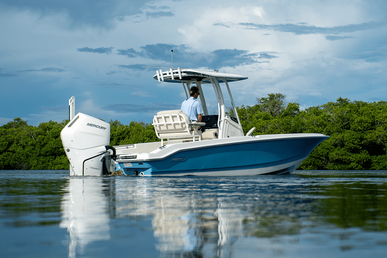 BOSTON WHALER 250 DAUNTLESS, photo 38