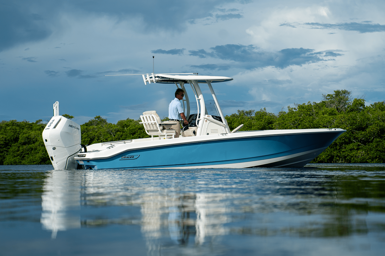 BOSTON WHALER 250 DAUNTLESS, photo 39