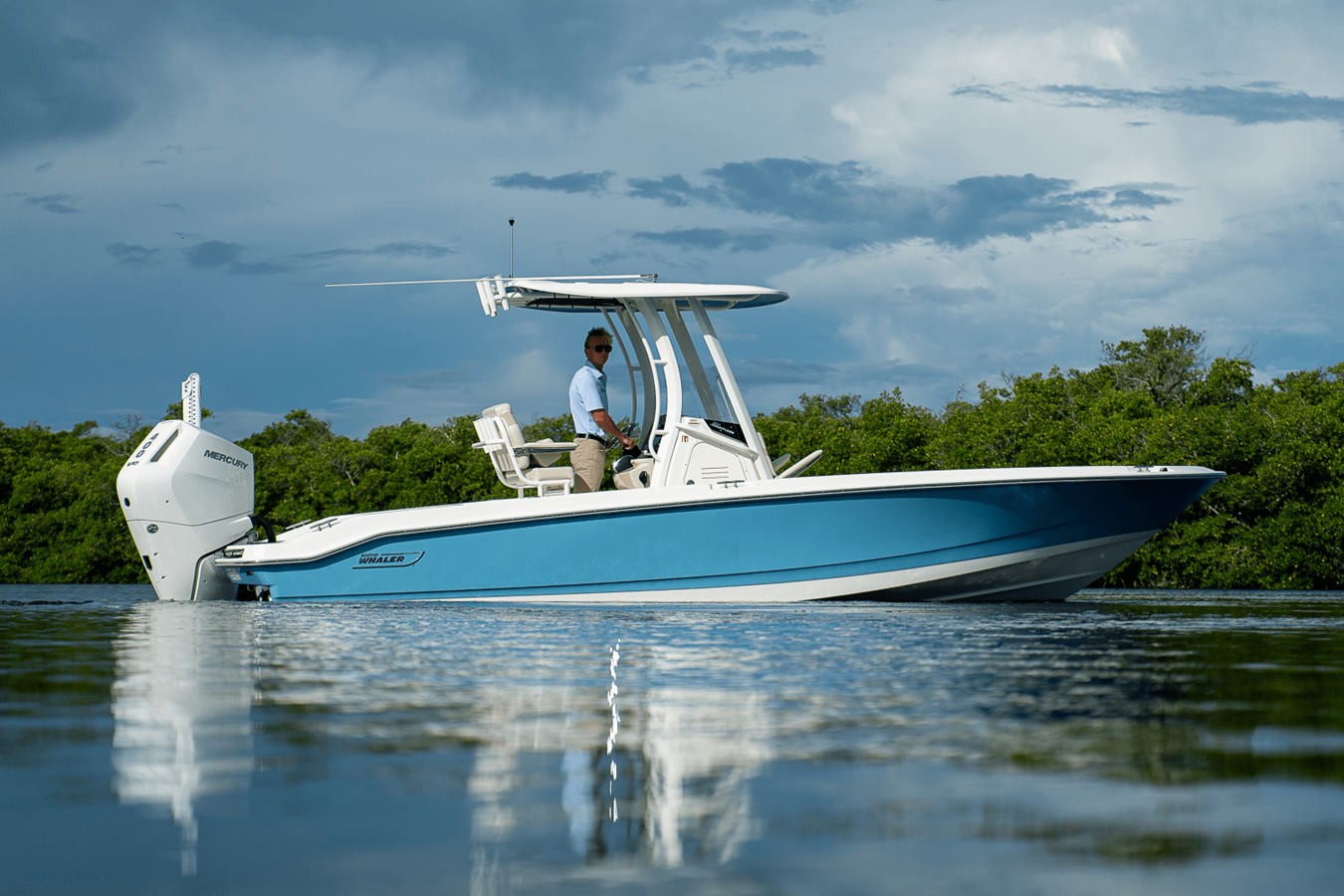 BOSTON WHALER 250 DAUNTLESS, photo 40