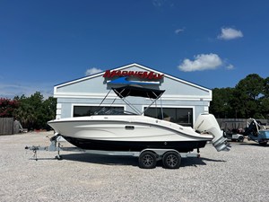 SEA RAY SPX 210 OUTBOARD