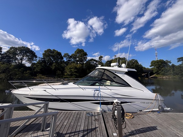 COBALT 373 — 2009 Cobalt 373