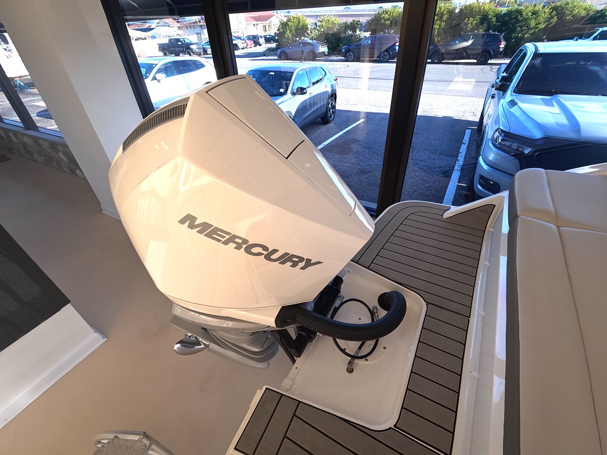Sea Ray SDX 250 Outboard — 2027 Sea Ray SDX 250 Outboard — photo 3