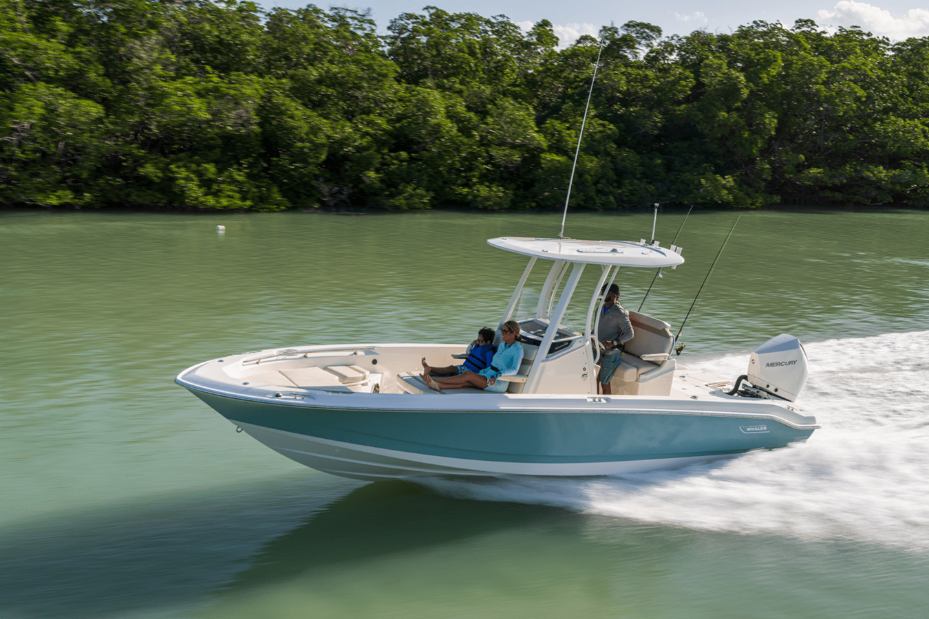 Boston Whaler 250 Dauntless — 2027 Boston Whaler 250 Dauntless — photo 2