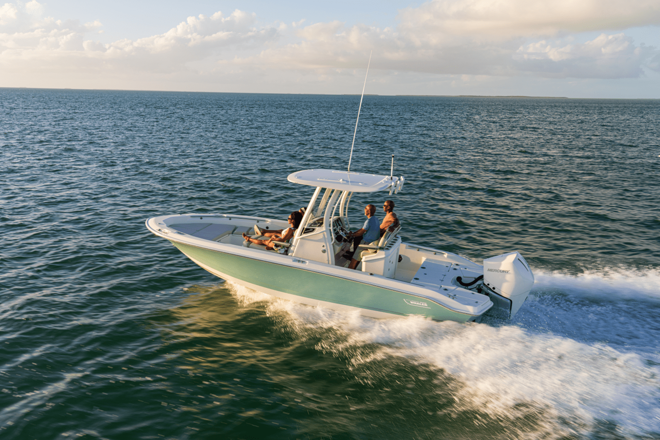 Boston Whaler 250 Dauntless — 2027 Boston Whaler 250 Dauntless — photo 3