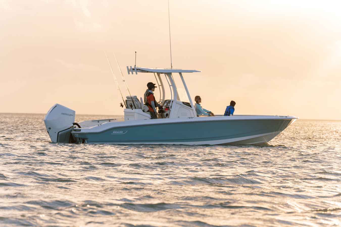 Boston Whaler 250 Dauntless — 2027 Boston Whaler 250 Dauntless — photo 5