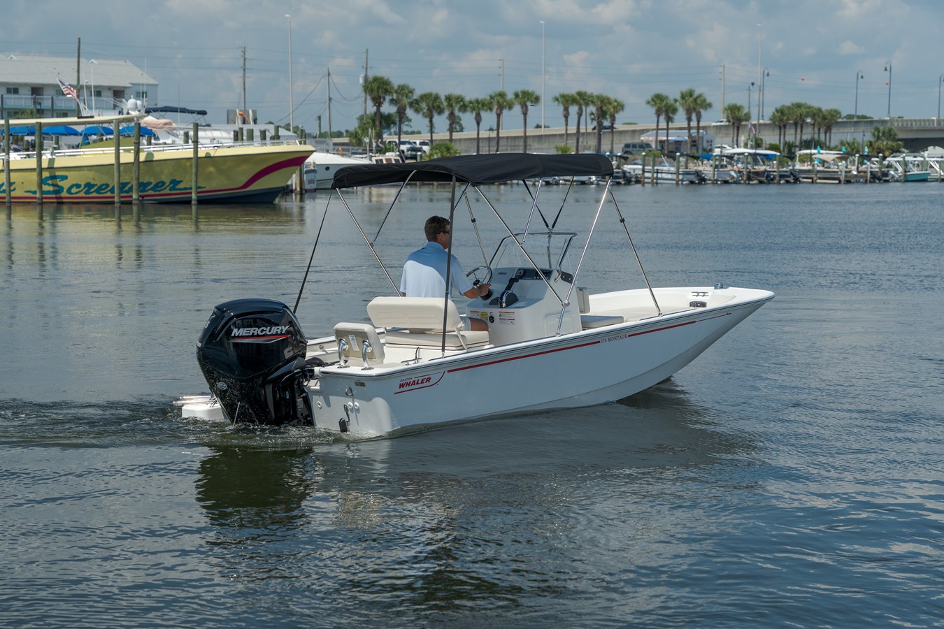 Boston Whaler 170 Montauk — 2027 Boston Whaler 170 Montauk — photo 3