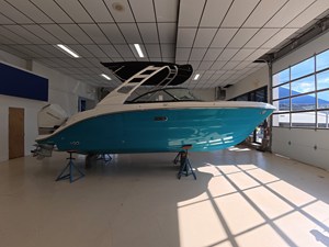 SEA RAY SDX 230 OUTBOARD