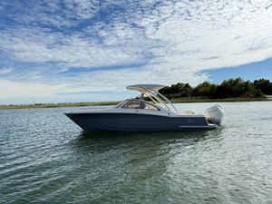 SCOUT 240 DORADO