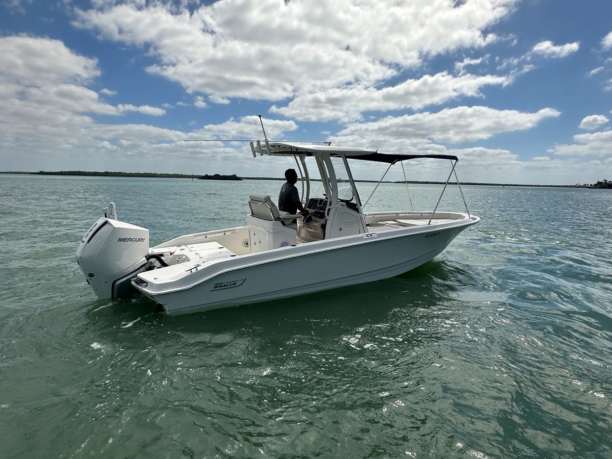 Boston Whaler 250 DAUNTLESS — 2024 Boston Whaler 250 Dauntless — fotoğraf 5