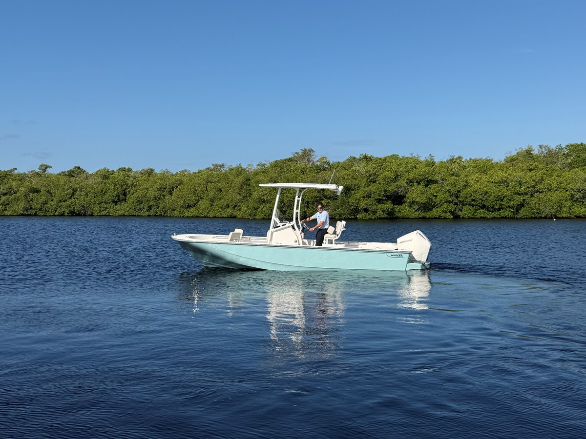 Boston Whaler 210 Montauk — 2027 Boston Whaler 210 Montauk — fotoğraf 5